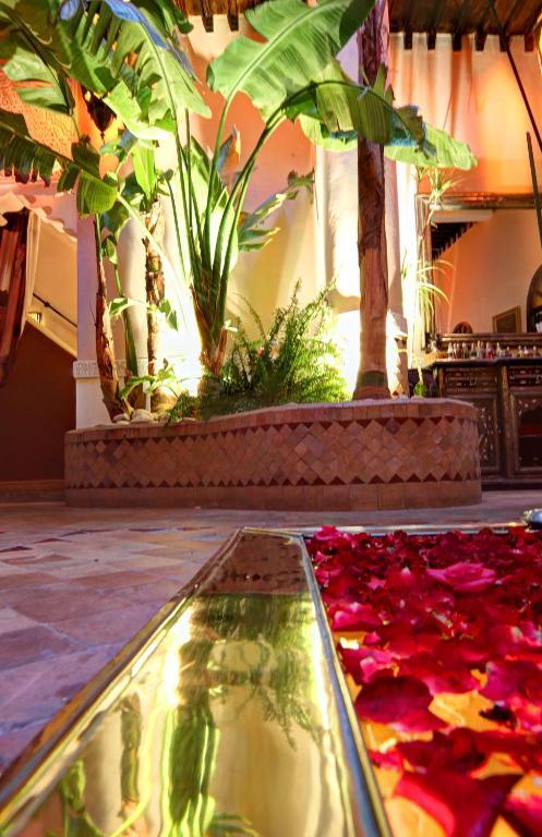 Riad Jona مراكش المظهر الخارجي الصورة